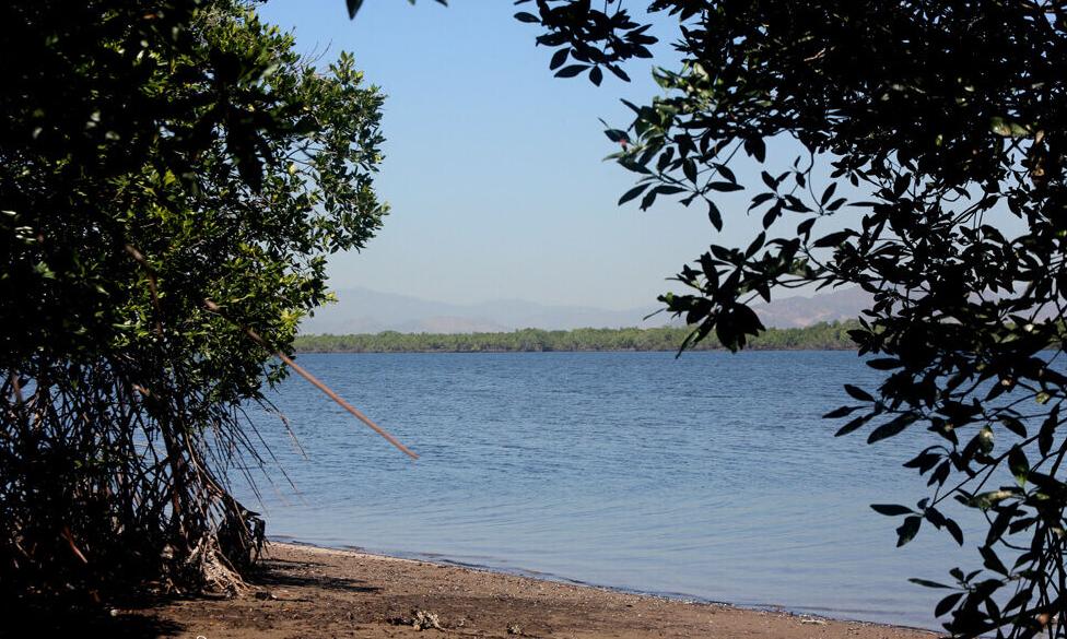 Isla del Amor